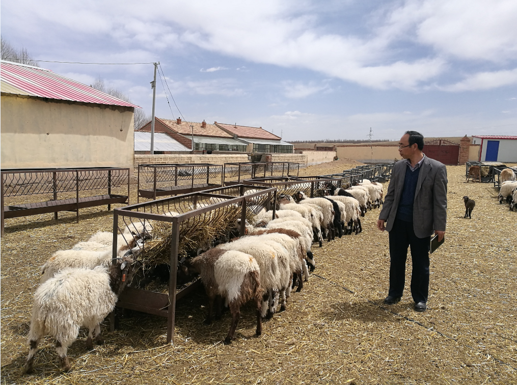 14c21d2afaee488894f10fbd46cb8c48.png image.png