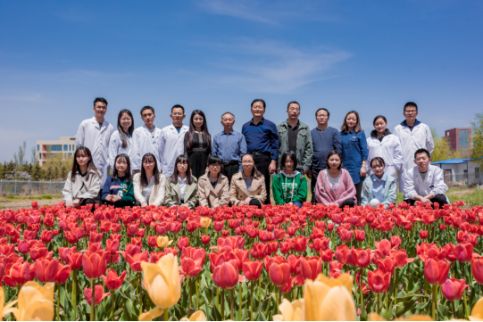 1776916f42734ce8b523a456dbf90a94.png image.png