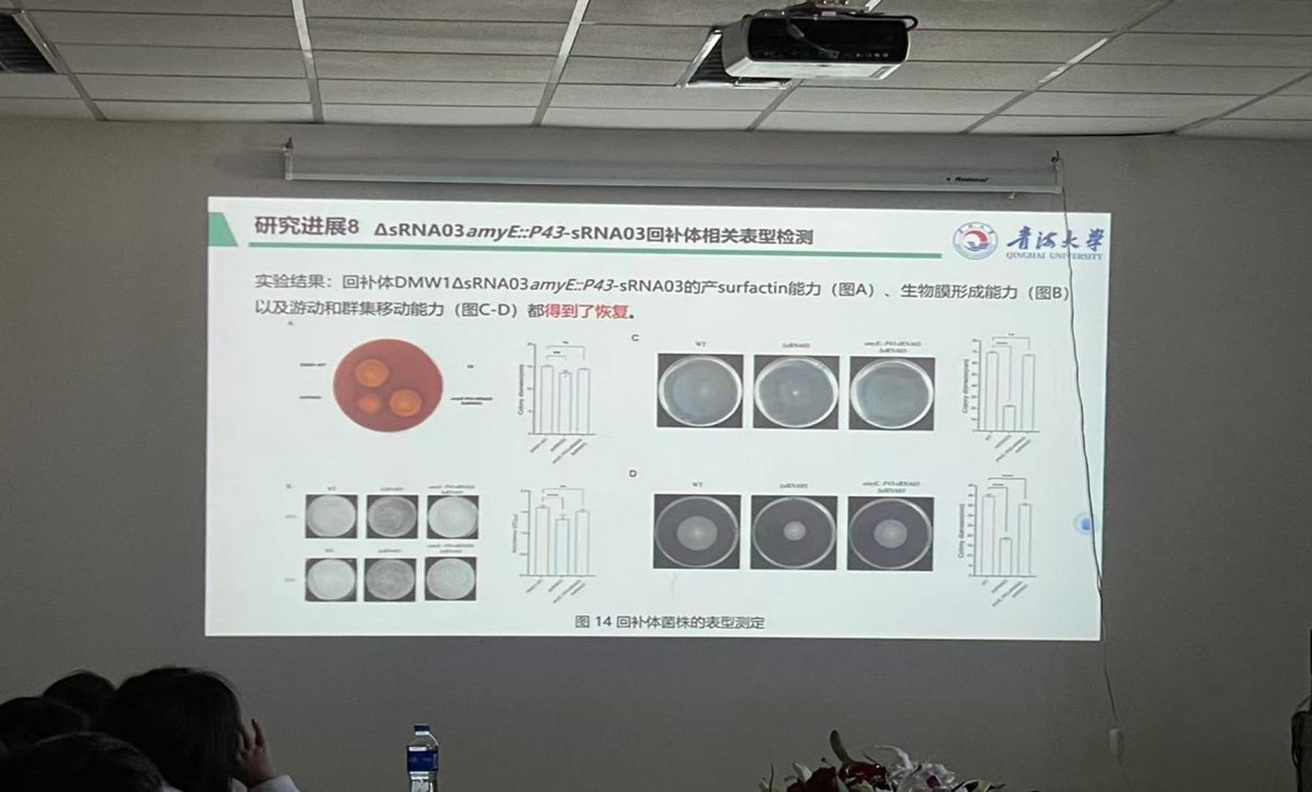 52b32033da5147e8bd03c25983f20983.jpg 52b32033da5147e8bd03c25983f20983.jpg