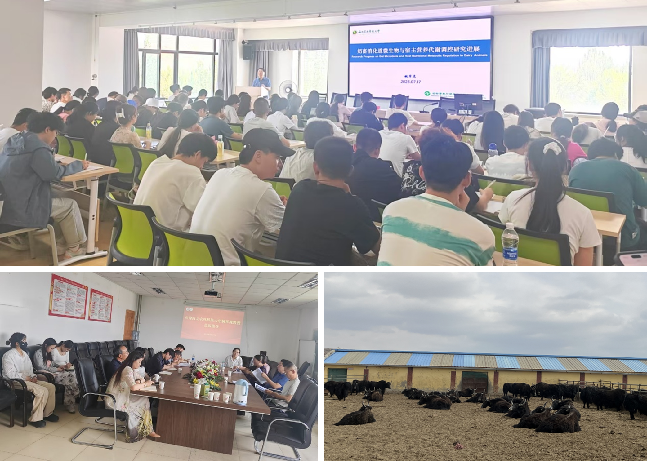 fff438aa70c542beb3af101e256b7ad0.png fff438aa70c542beb3af101e256b7ad0.png