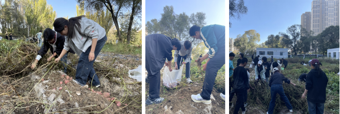 2c13fcff17fb43858b59d7332ac7ae34.png 2c13fcff17fb43858b59d7332ac7ae34.png